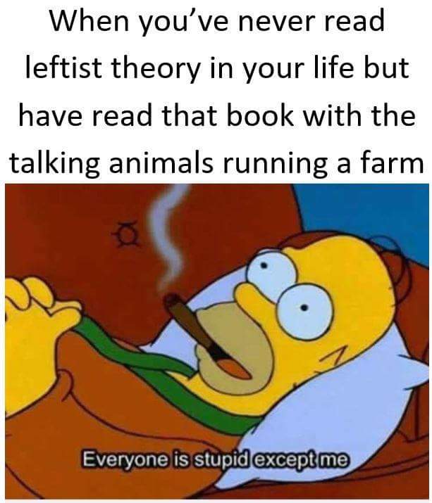 I have never read