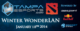 Tampa eSports Winter WonderLAN 2014
