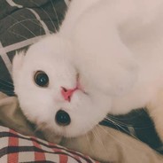 LALa