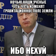 ХОХЛАТЫЙ ДИКОБРАЗ