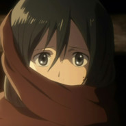 Mikasa-