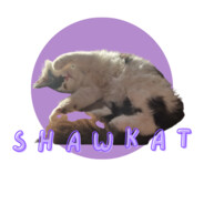 Shawkat