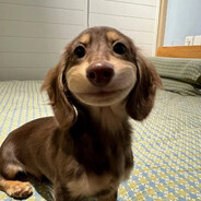 pwettycute (x﹏x)