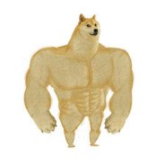 Stronk Doge