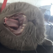 Sumimasen