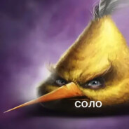ZooGARD