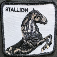 WdotSTALLION