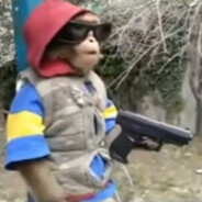 Взаим похвала