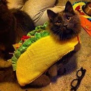 TacoCat