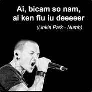 Junin RIP Chester