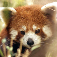 redpanda166