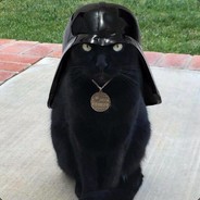 Cat Vader