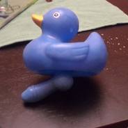 PeaceDuck