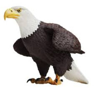 Eaglefort