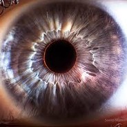 oP | Psychedelics