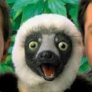 Zoboomafoo