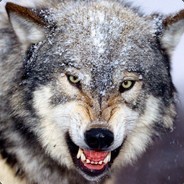 ODD.w33 ODD.w33
