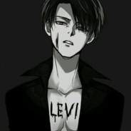 Levi