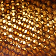 Honeycomb