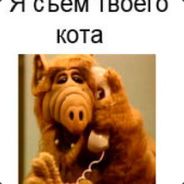 ALF