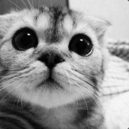 Climb MMR?