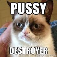 PussyDestroyer