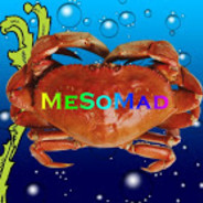 MeSoMad