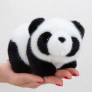 CutePanda