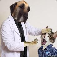 Dogtor