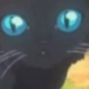 Kidaro