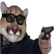 nigga cat