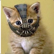 Bane_Cat