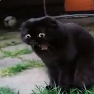 {Мне Похуй}