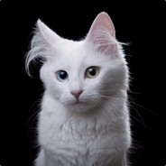 Agent_Gabena#5548