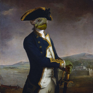 Admiral Turtle