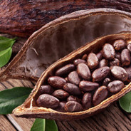 Cocoa Beans