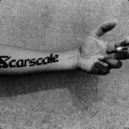 Scarscale | 31