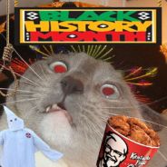 Señor Don Gato