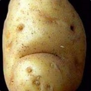 potato_bAo