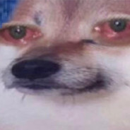 Diddi12