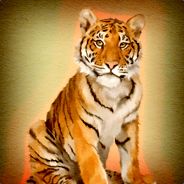 -InDIaN-TigeR-