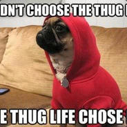 Thug Life