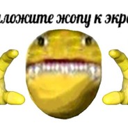 BHN3