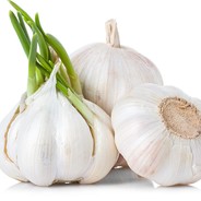 Mr.Garlic