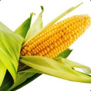 corn