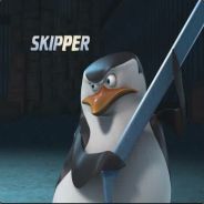 Skipper2013(UA)