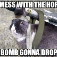 Deer_one