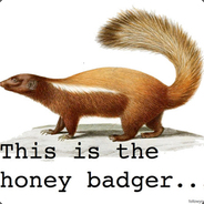 HoneyBadger