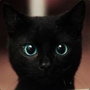 C5GAME-AMEOW