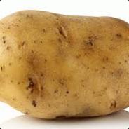 potato